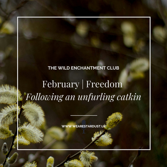 12. The Wild Enchantment Club | Freedom and following an unfurling catkin
