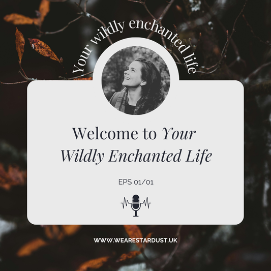 1. Welcome to Your Wildly Enchanted Life