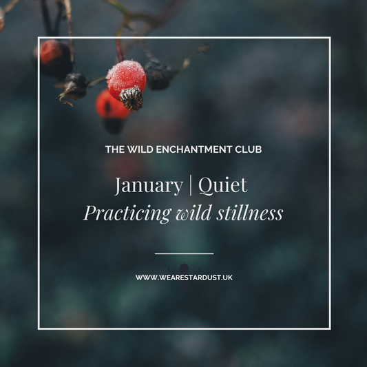 8. The Wild Enchantment Club | Quiet and practicing wild stillness