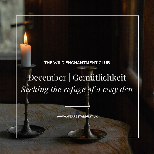 3. The Wild Enchantment Club | December | Gemütlichkeit and seeking out cosy dens