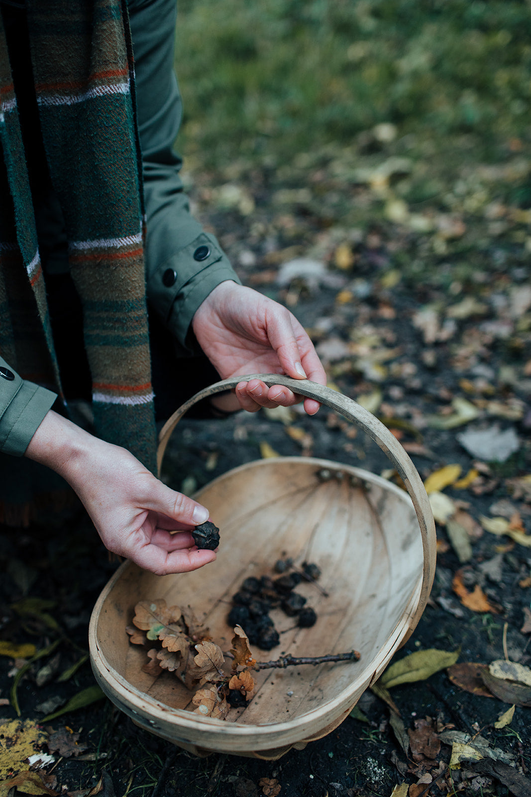 4 Signs you need more nature in your life (and how to answer the call)