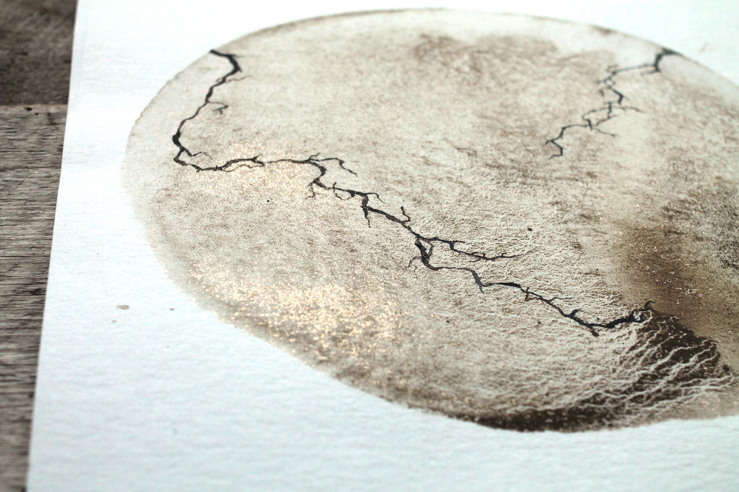 Between the cracks | Mud and watercolour root painting