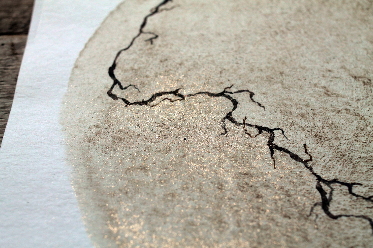 Between the cracks | Mud and watercolour root painting