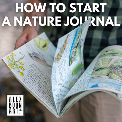 Enchant Your Winter Bundle