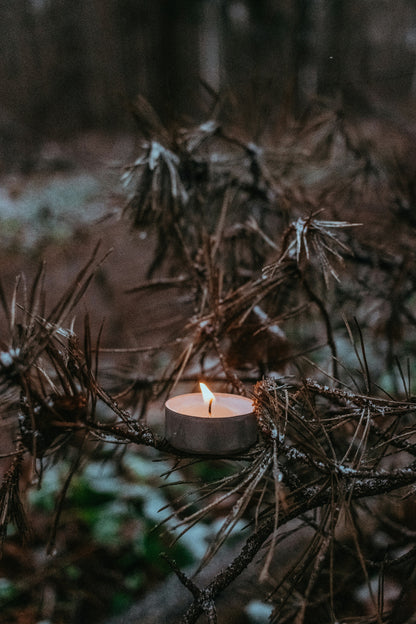 candle in pine tree