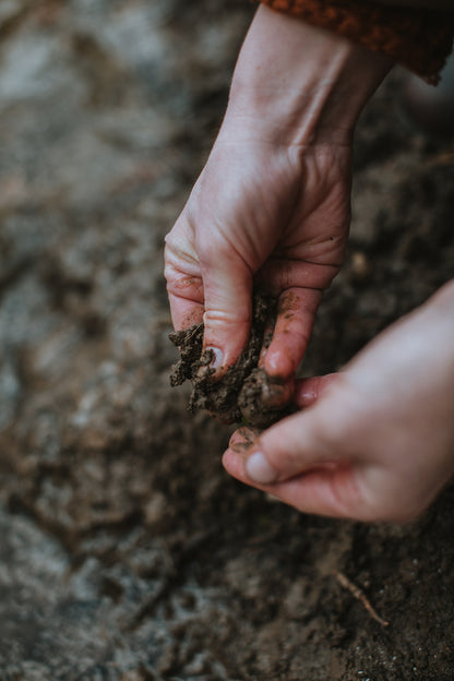 In search of | Mud and watercolour root painting