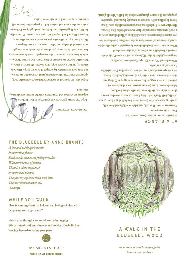 Spring bluebell nature guide - printable