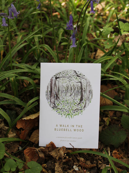 Seasonal nature guides bundle