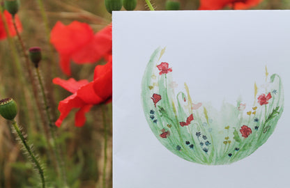 Seasonal nature guides bundle