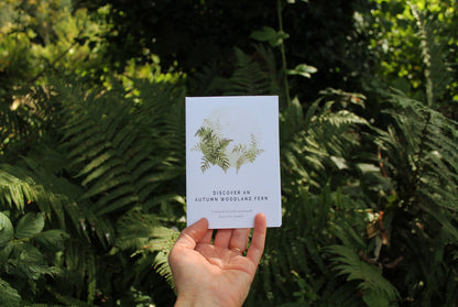 Seasonal nature guides bundle