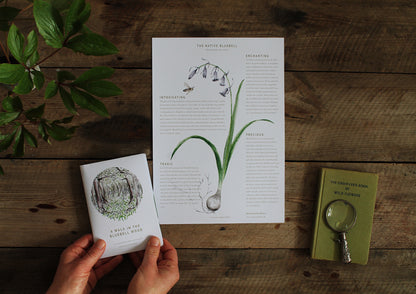 Seasonal nature guides bundle