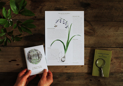 Seasonal nature guides bundle