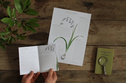 Seasonal nature guides bundle