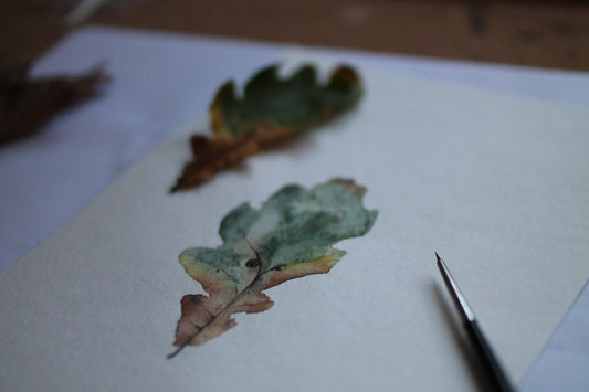 Autumn Leaf Painting Workshop