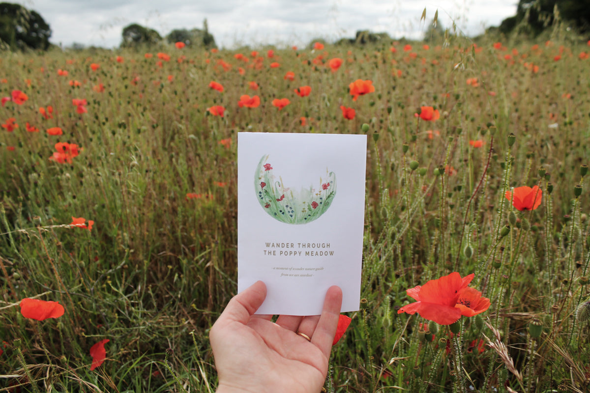 Poppy nature guide held in front of a poppy meadow