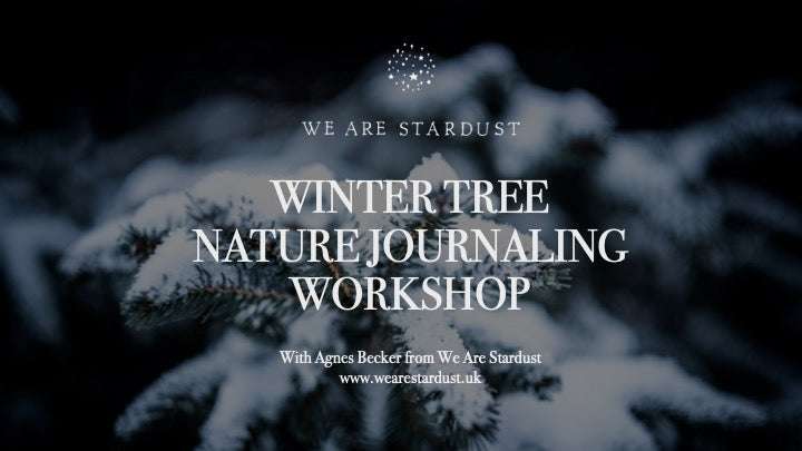 Winter Christmas tree nature journaling workshop