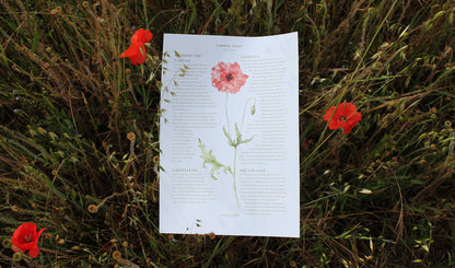 Seasonal nature guides bundle